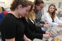 Obr�zek 19_proj_den_labor_02