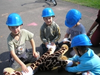 10_det_den_ms_has_07