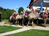 08_skola_prir_06