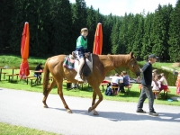 08_skola_prir_07