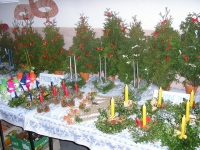 09_van_vys_12