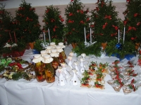 08_van_vys_12