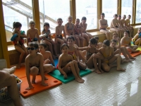11_plav_zs_zav_01
