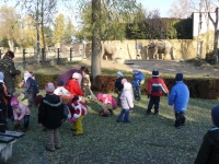 10_hallow_ms_11