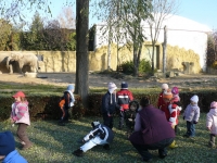 10_hallow_ms_14