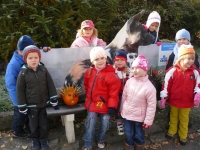 10_hallow_ms_15