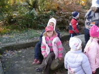 10_hallow_ms_16