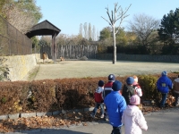 10_hallow_ms_21