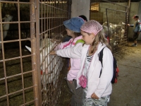 09_vyl_pencin_13