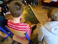 16_den_zeme_04