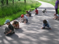 08_det_den_ms_02