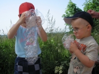 08_det_den_ms_08
