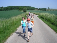08_det_den_ms_09