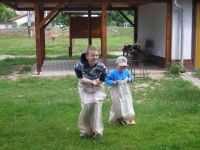 08_det_den_ms_11