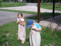 08_det_den_ms_12