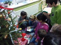 15_van_bes_3_05