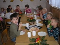 10_van_bes_ms_01