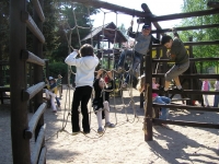 09_vyl_jaro_zel_03