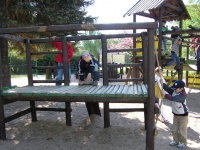 09_vyl_jaro_zel_04