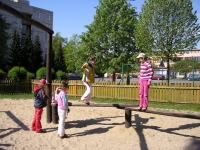 09_vyl_jaro_zel_07