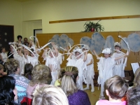08_van_kon_08