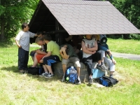 08_det_den_zs_10