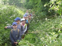 08_det_den_zs_11
