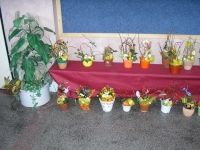 10_velik_vyr_2