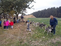 15_brzice_1_tr_04