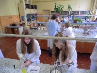 14_laborat_8a9_25