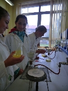 14_laborat_8a9_31