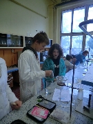 13_laborat_8a9_04