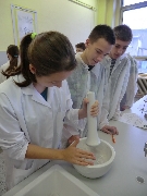 13_laborat_8a9_12