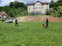 14_det_den_zs_41