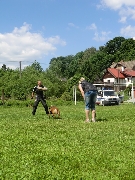 14_det_den_zs_45