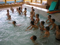 14_palvani_ms_06