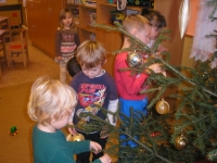 11_van_bes_ms_01