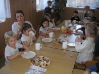 11_van_bes_ms_02