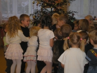 11_van_bes_ms_07