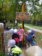 14_muchom_ms_06
