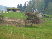 14_muchom_ms_19