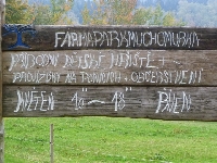14_muchom_ms_21
