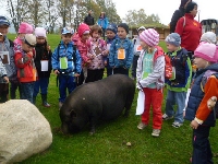 14_muchom_ms_29