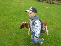 14_muchom_ms_35