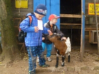 14_muchom_ms_49