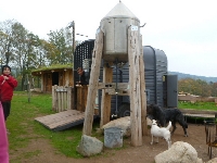 14_muchom_ms_55