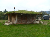 14_muchom_ms_63