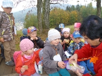 14_muchom_ms_66