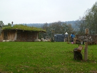 14_muchom_ms_67