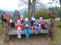 14_muchom_ms_68